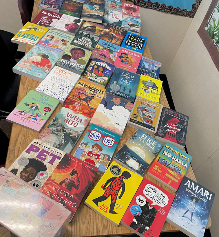 Some of my book purchases for schools